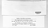 Image Associated With the Occurence